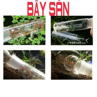 BẪY SÁN, BỌ NƯỚC THỦY TINH CAO CẤP