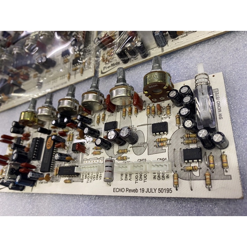 Bo Echo Reverb ProMein