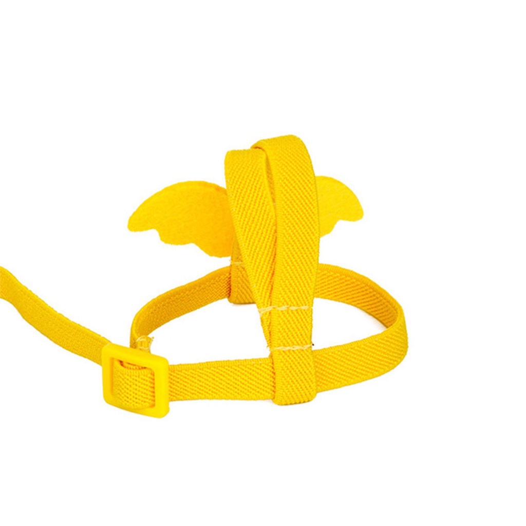 Dây Đai Huấn Luyện Chim Bay Cỡ Nhỏ / Vừa / Nhỏ Tùy Chỉnh Tiện Dụng