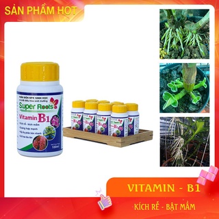Phân Bón Bổ Trợ Kích Rễ Kích Mầm Giữ Hoa Lâu Tàn - SUPER ROOT B1