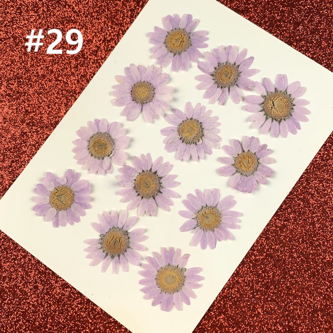 HANDMADE Miếng Dán Hoa Cúc Trắng Trang Trí Xinh Xắn | BigBuy360 - bigbuy360.vn