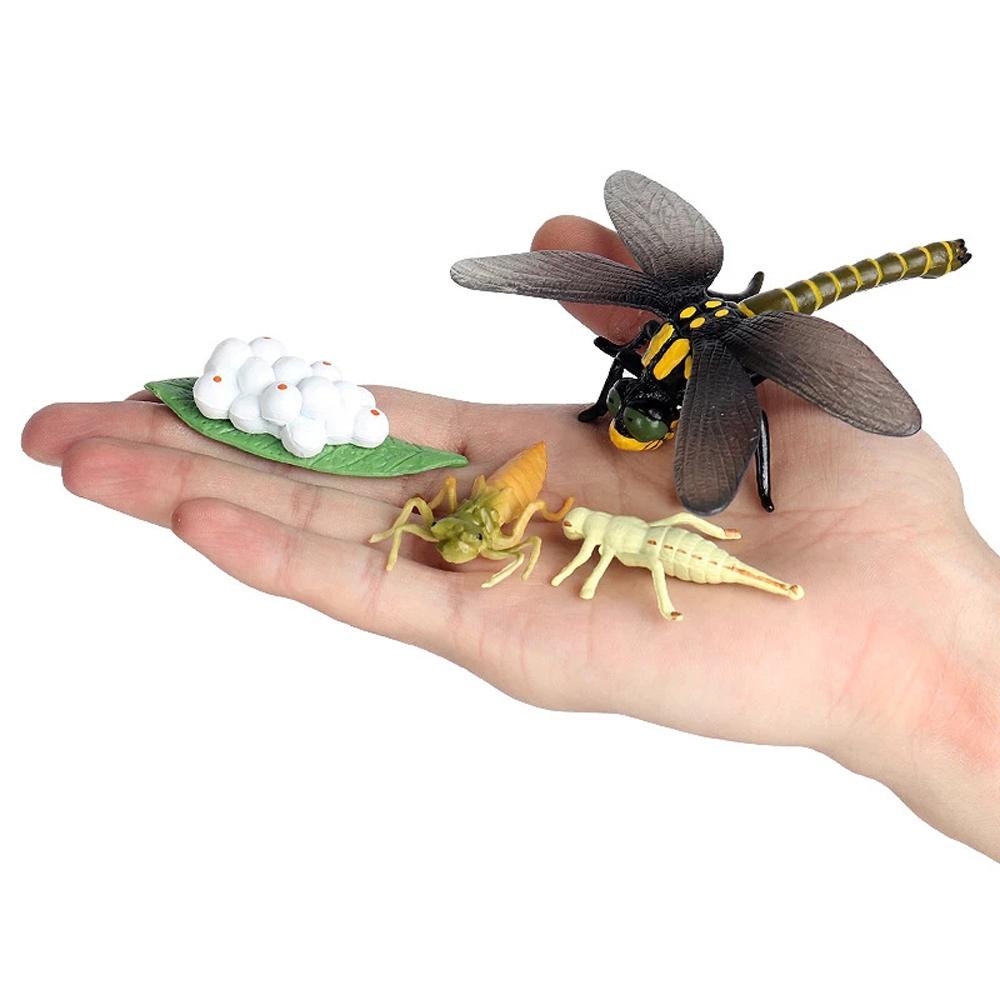 Mô Hình Chuồn Chuồn Đồ Chơi Bằng Nhựa Pvc Cho Bé