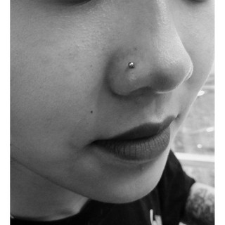 khuyên xỏ cơ bản/khuyên mũi thẳng bi tròn