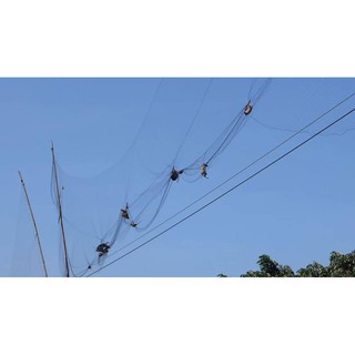 Lưới Chim Chào Mào Cao 5m