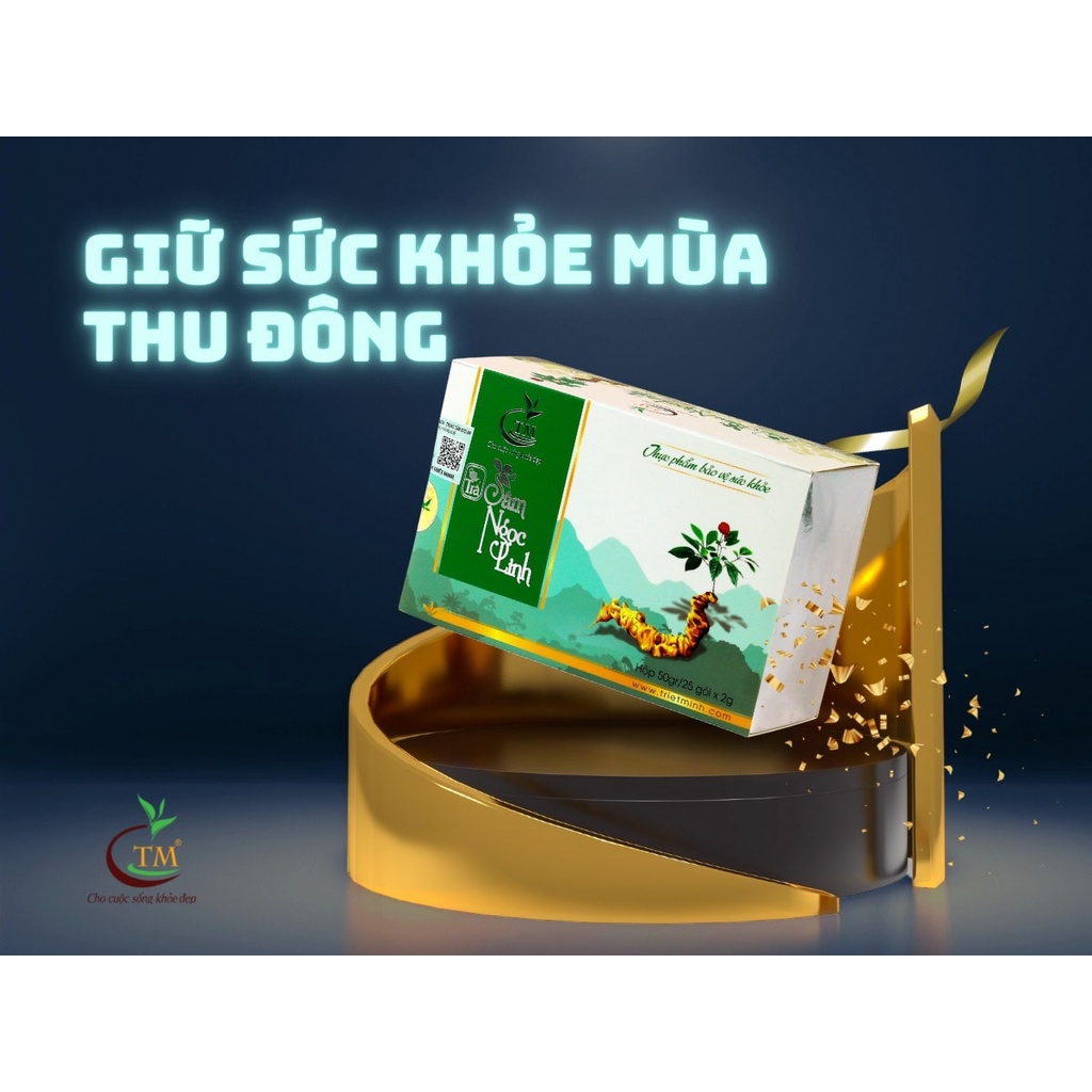 ( COMBO 3 gói túi lọc dùng thử ) Trà Sâm Ngọc Linh túi lọc - 2gram-30k