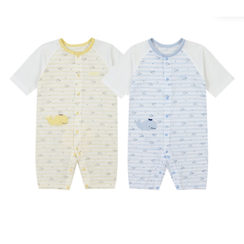 (size 75,80) Body cotton giấy mềm mát rượi Absorba xuất Hàn