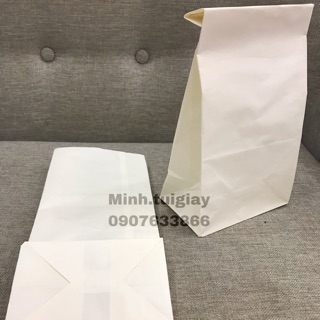 100c Túi giấy 13x27 đáy 9,5cm