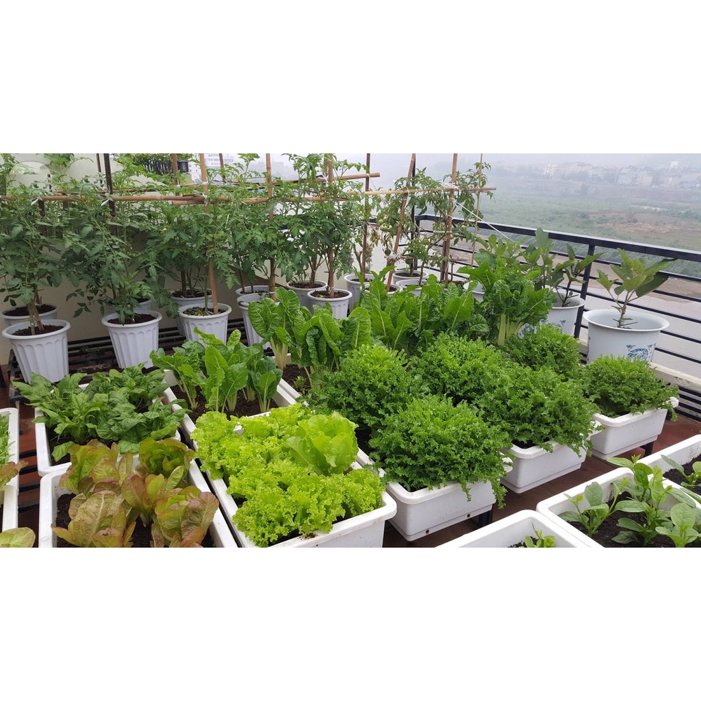Đất sạch trồng cây vi sinh hỗn hợp , Đất màu trồng rau, trồng cây hoa