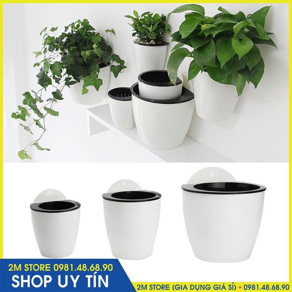(CHỌN MÀU) Chậu Nhựa Trồng Cây Trồng Hoa Treo Tường Tự Tưới Nước Tặng Kèm Móc Treo Chữ S