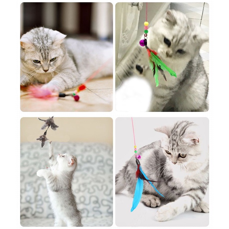 Đồ chơi gậy hạt gắn lông vũ có chuông vui nhộn cho mèo cưng