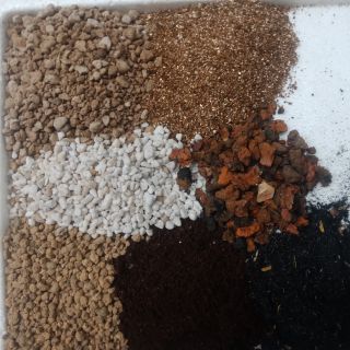 Đất trồng cao cấp dành cho sen đá xương rồng cây mộng nước ( 1kg )