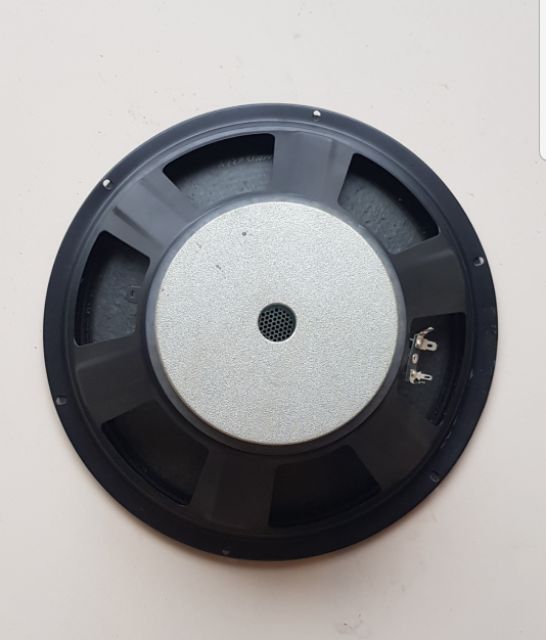 Loa Toàn dải 30 cm