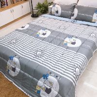 Bộ chăn ga gối cotton đũi