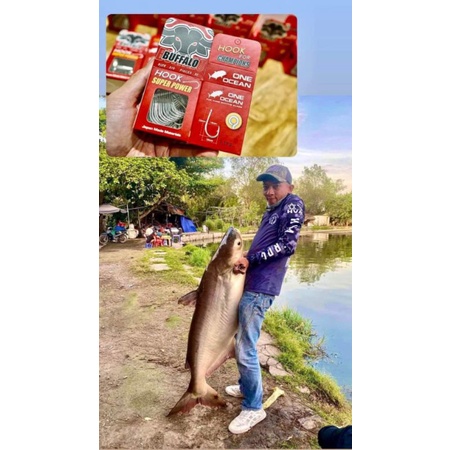 Lưỡi Câu Buffalo chuyên câu cá tra