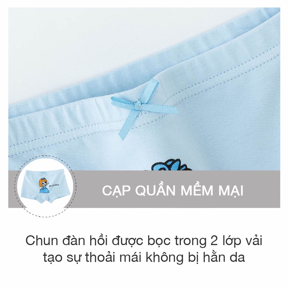 Hộp 5 Quần Chíp Bé Gái Chất Liệu COTTON Kháng Khuẩn Mềm Mại Co Giãn Đàn Hồi Tốt Họa Tiết Công Chúa Dễ Thương Mã DL-001