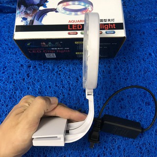 ĐÈN LED TRÒN XML TRẮNG - 3 MÀU KẸP BỂ CÁ