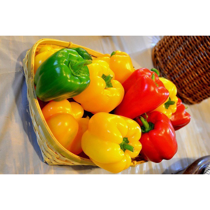 Hạt Giống Ớt Chuông F1 Quả Siêu To ( 50gram , 100gram ,200gram )