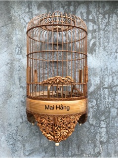 Lồng khuyên trúc già