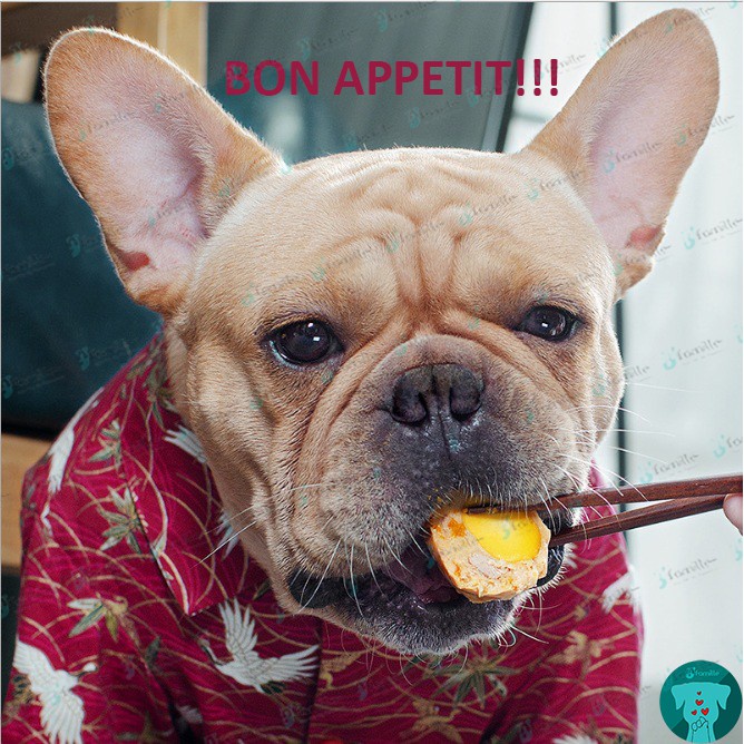 [HOMEMADE]Thức Ăn Dinh Dưỡng JFamille, Thịt Viên Hảo Hạng Từ Các Nguyên Liệu Tươi, Thơm Ngon Đậm Vị. JF112