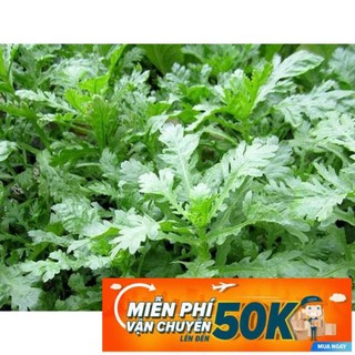 20g hạt giống rau tần ô