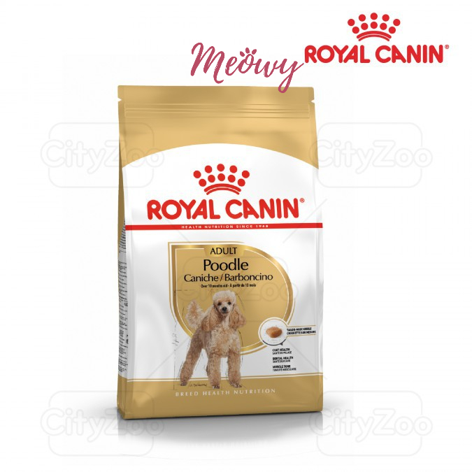 hạt Royal Canin Poodle Adult cho chó Poodle trên 10 tháng tuổi