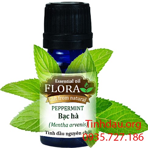 Tinh dầu bạc hà