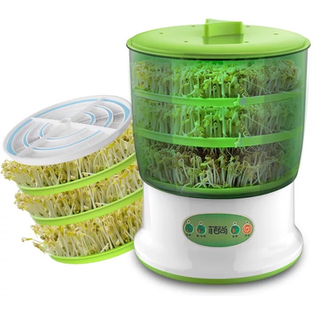 Máy làm giá đỗ- rau mầm