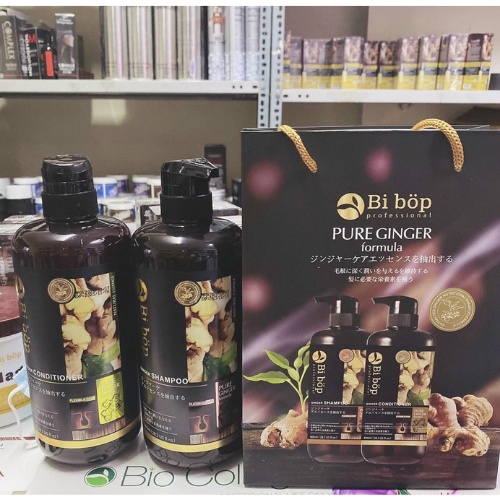 Dầu Gội Cặp GỪNG THIÊN NHIÊN Ngăn Ngừa Giảm Rụng Tóc. Dầu Gội Xả Mượt Tóc, Kích Thích Mọc Tóc Nhanh. RIN_chan