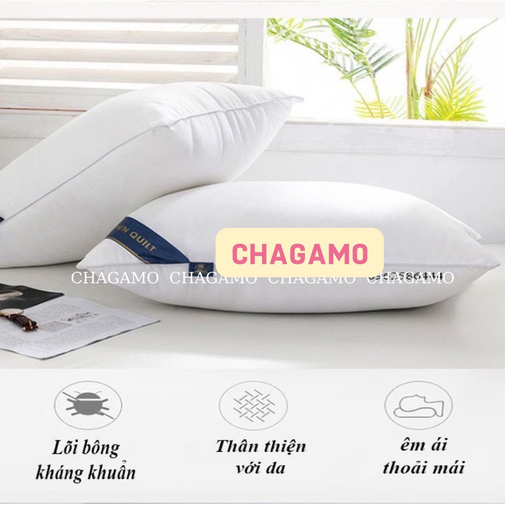 Ruột gối nằm Pillow cao cấp CHAGAMO - ruột gối hơi nhập khẩu kích thước 45x65 cm