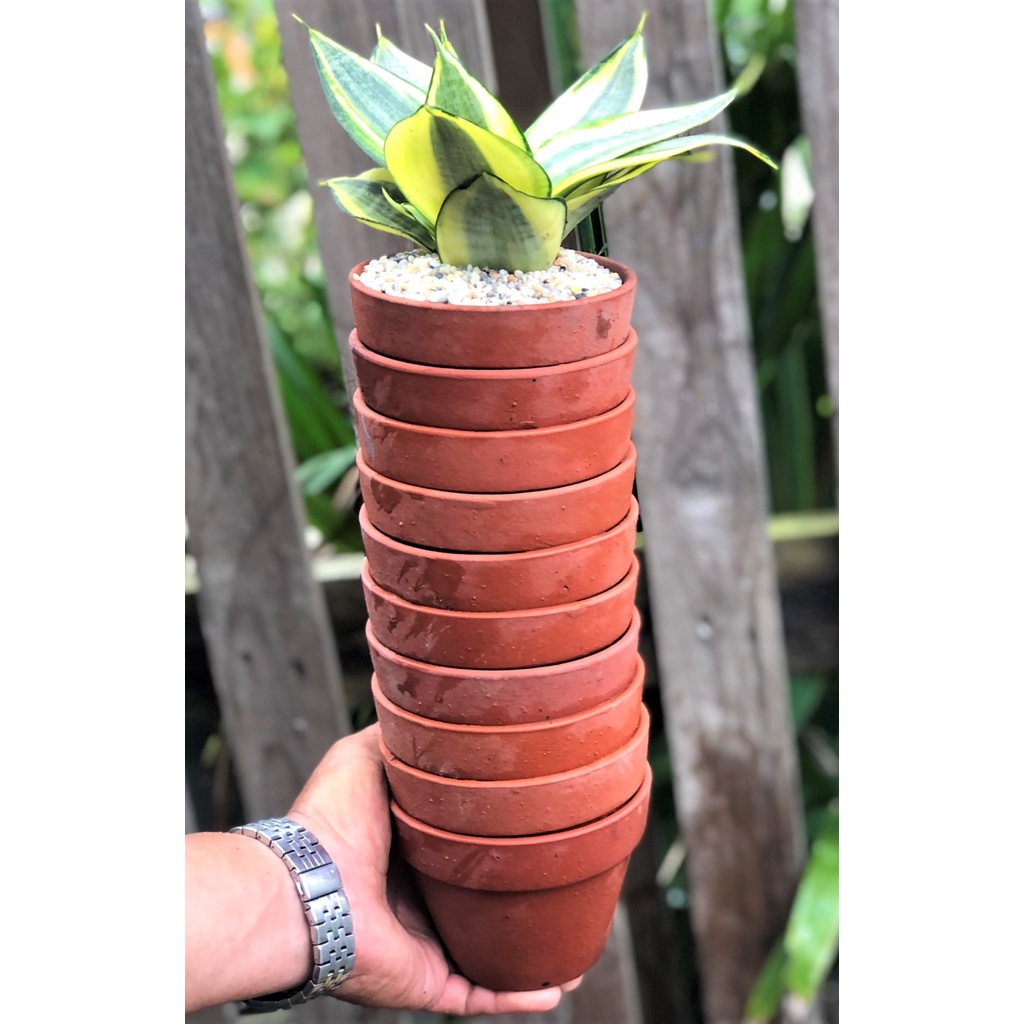 Bộ 10 chậu đất nung trồng lan trồng cây số 4 rộng 11 cm x cao 8 cm