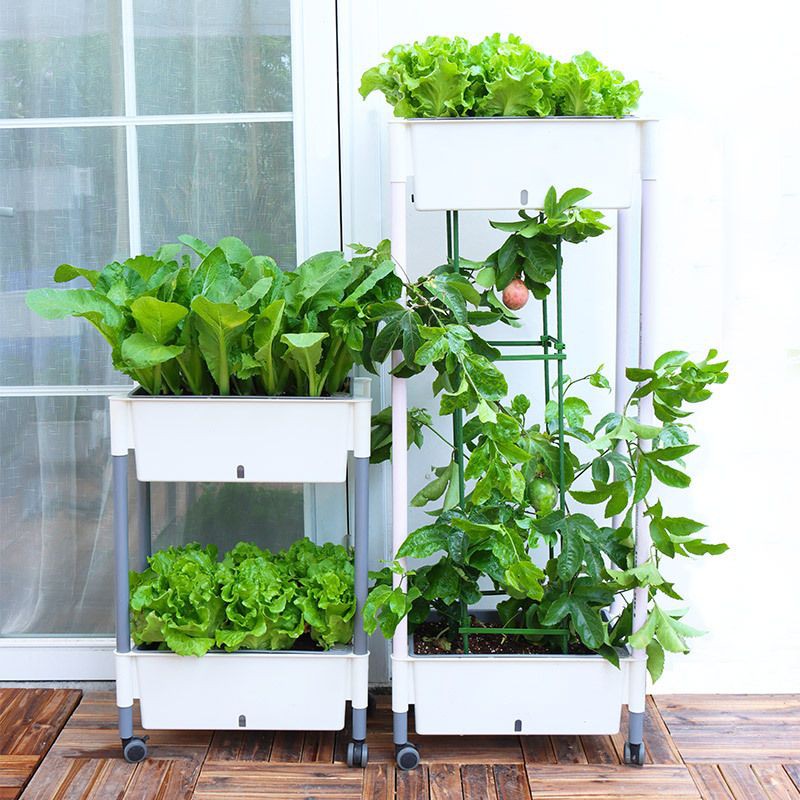 Giá trồng rau tự dưỡng 3 tầng Không cần tưới nước Kệ trồng rau thông minh cho sân thượng ban công