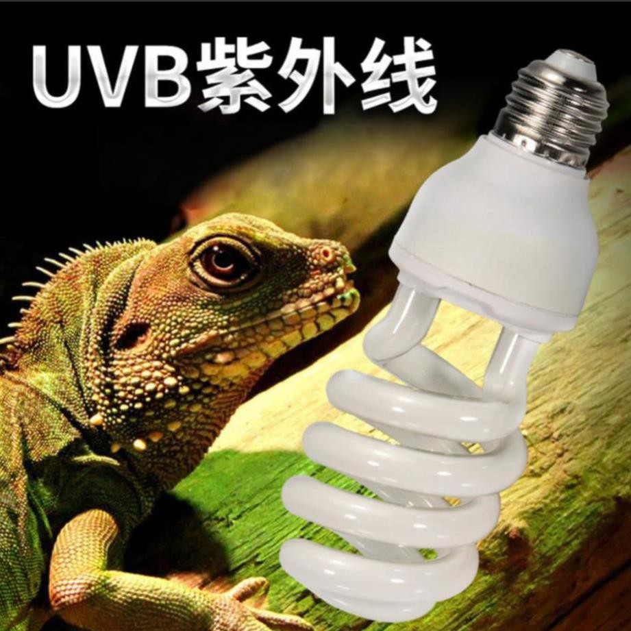 Đèn UVB 5.0 và 10.0 chuyên dụng cho bò sát- đèn uvb giúp hấp thụ canxi cho bò sát