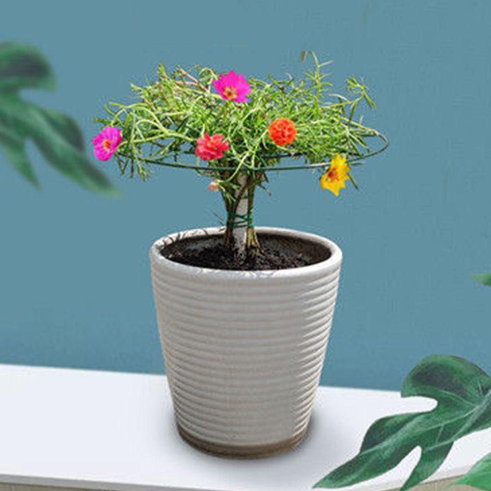 Set 2 Khung Đỡ Hỗ Trợ Trồng Cây Thân Leo Siêu Bền Tiện Dụng