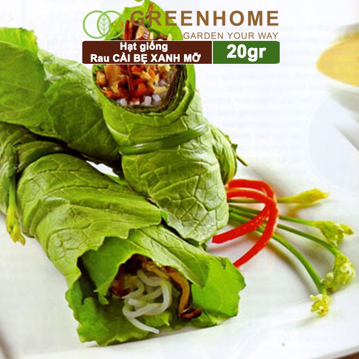 Hạt giống rau Cải bẹ xanh mỡ Greenhome, gói 20g, dễ trồng, thu hoạch nhanh R04