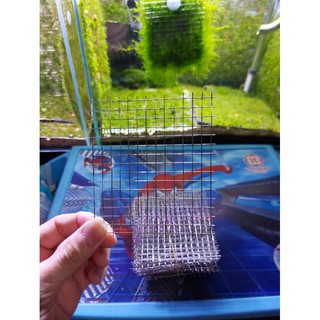 Lưới Inox 304 buộc rêu
