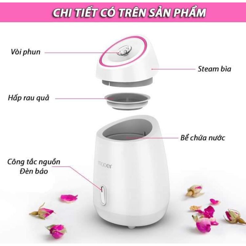 Máy Xông mặt
