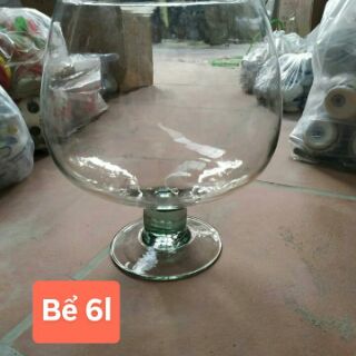 Bể cá thủy tinh để bàn.Bể cá có chân, dáng chiếc ly
