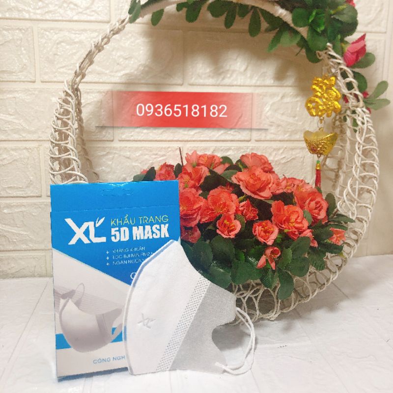 Hộp khẩu trang 5D mark Xuân Lai cao cấp quai thun 10 cái