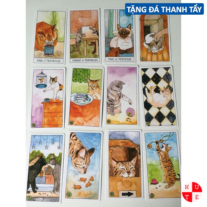 Bài Tarot Cat 78 Lá Bài Tặng File Tiếng Anh Và Đá Thanh Tẩy C33