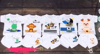 105k sét 5bo cotton