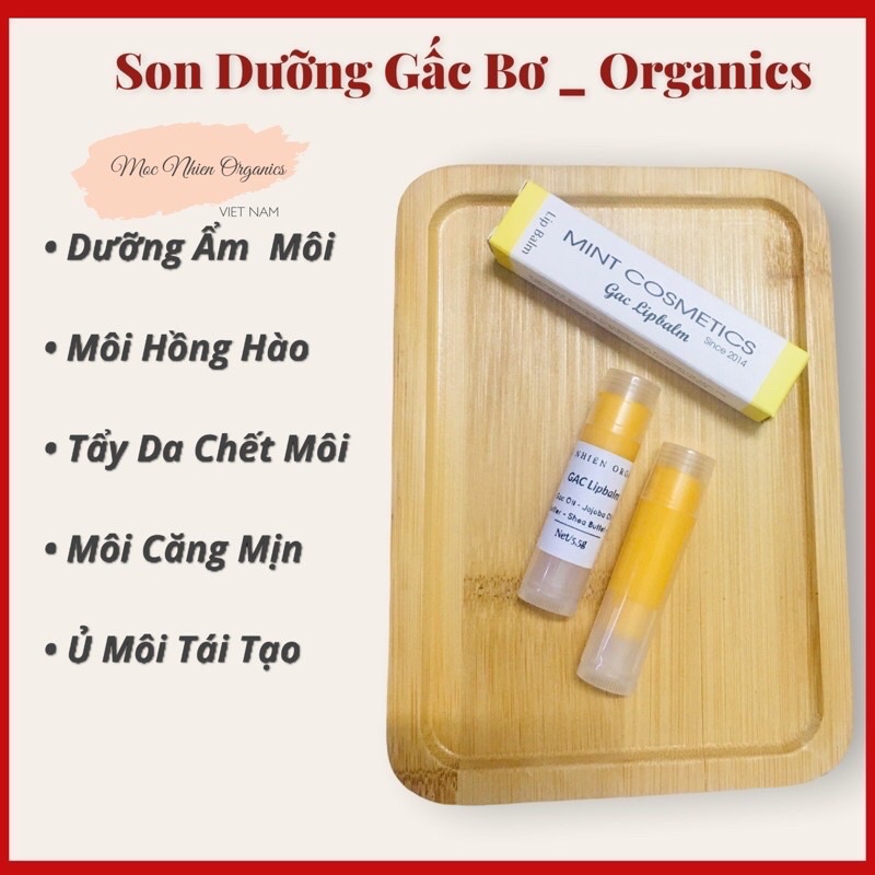 COMBO Son dưỡng + Bột Neem + Đậu Đỏ