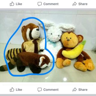 Gấu bông của humble mush