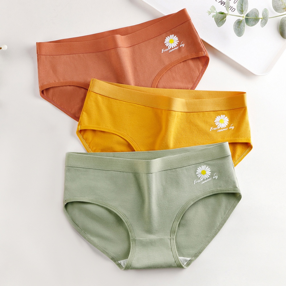 Quần lót cotton mềm mại lưng thấp in họa tiết hoạt hình xinh xắn dành cho nữ