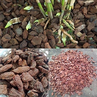 Túi 1kg vỏ thông xay bo size 2-3cm
