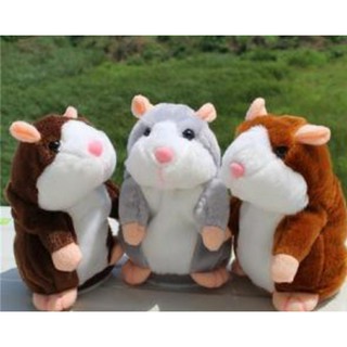 Chuột hamster biết nói