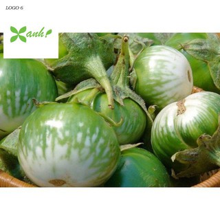 HẠT GIỐNG CÀ BÁT XANH - gói 1 gam