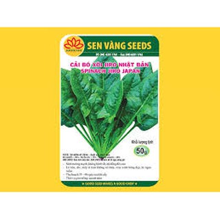 HẠT GIỐNG CẢI BÓ XÔI