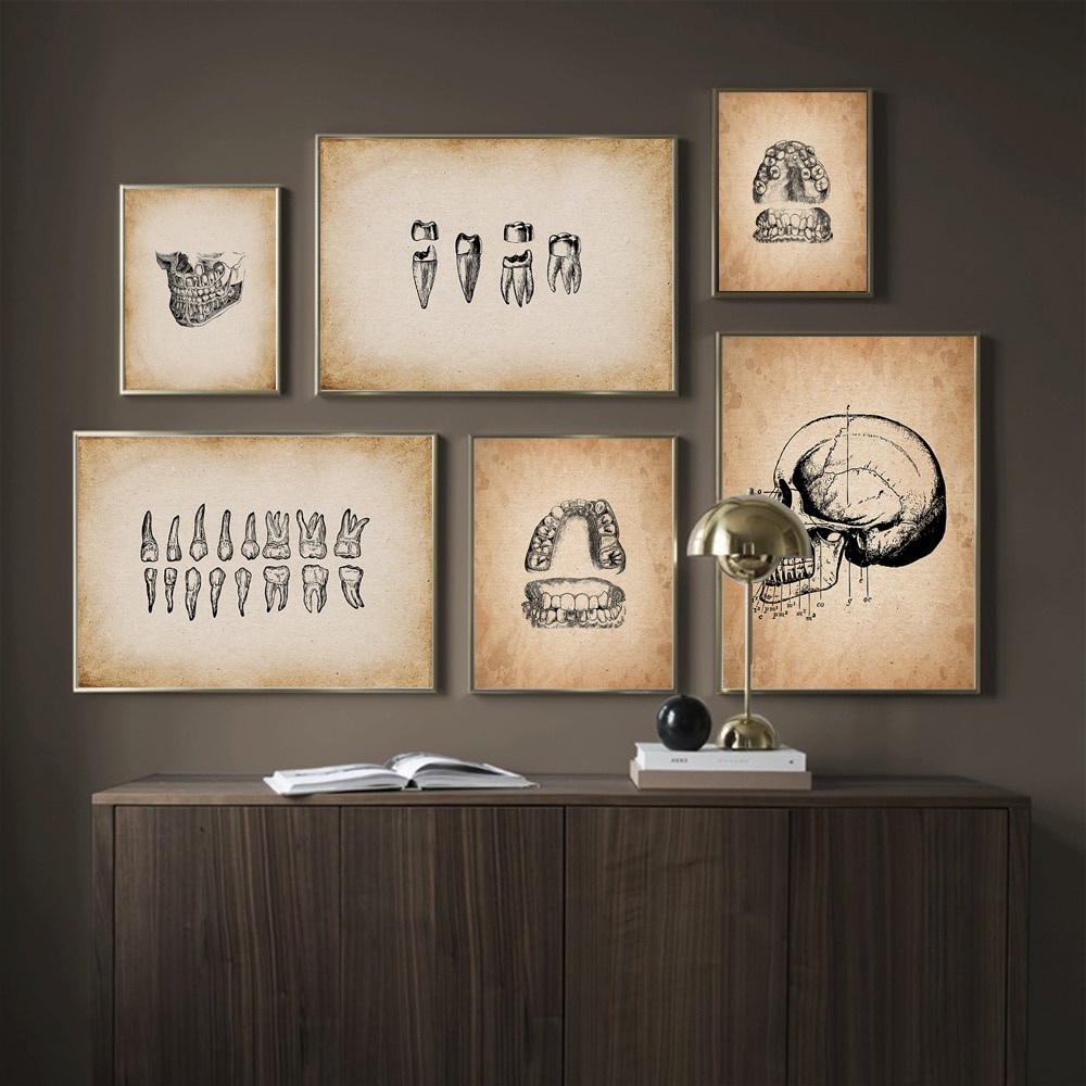 Tranh Vải Bạt Treo Tường In Hình Giải Phẫu Học Răng Người Kiểu Vintage 23N 0721