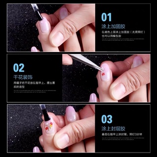 Set hoa khô nail trang trí móng 12 màu