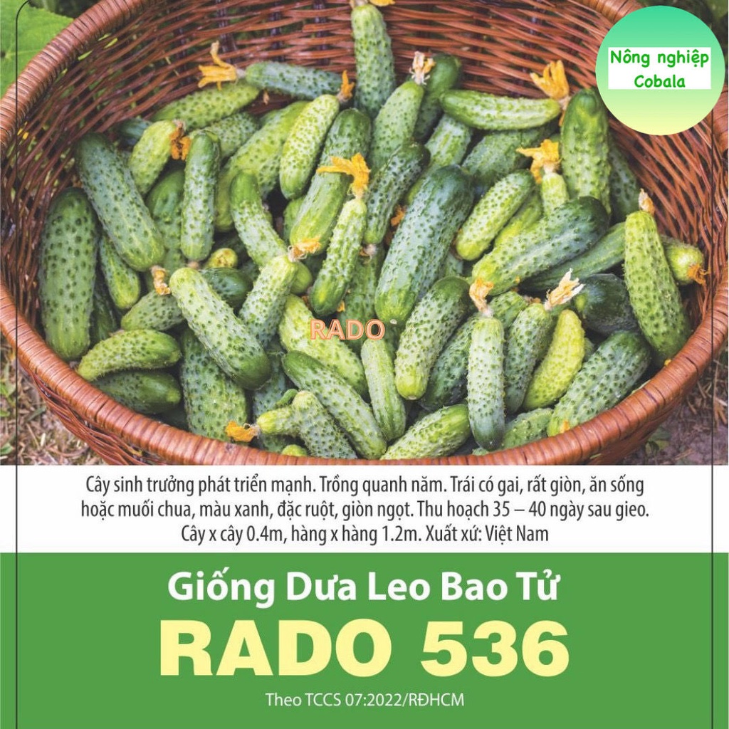 Hạt Giống Dưa Leo Bao Tử  1gr